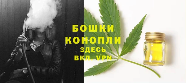 сатива Абаза