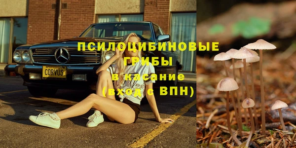соль ск Алексеевка
