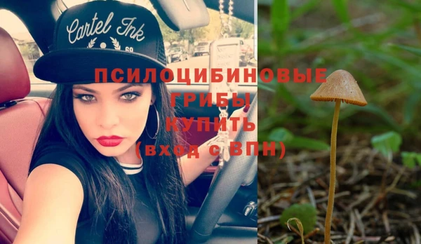 МДПВ Абинск