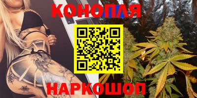 шишки Краснознаменск