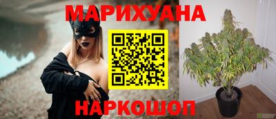 шишки Краснознаменск