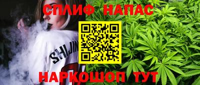 шишки Краснознаменск