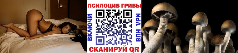 Псилоцибиновые грибы Cubensis  купить наркоту  Омск 