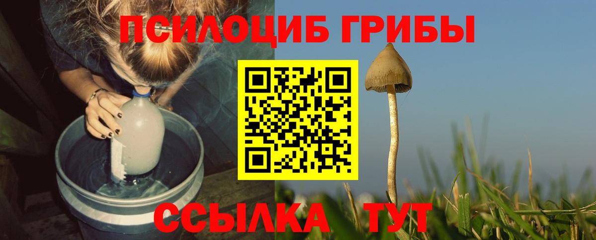 наркошоп  Галлюциногенные грибы Cubensis  Вход с VPN  Омск  Псилоцибиновые грибы Magic Shrooms 